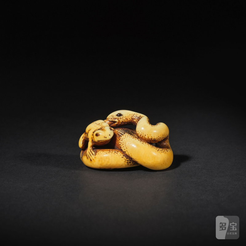 象牙彫根付 蛇蛙 銘「玉陽齋」 19世紀中期 | NETSUKE EN IVOIRE REPRÉSENTANT UN SERPENT ATTRAPANT UN CRAPAUD